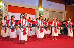 Cultural presentation of Nyishi Tribe from Papum Pare District on the occasion of Communal Harmony-Our Pride, Our Strength, at Darbar Hall, Raj Bhavan, Itanagar on 19th February 2016.